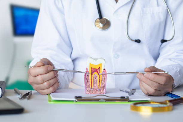 Best Orthodontic Emergency Dentist in Port Salerno, FL